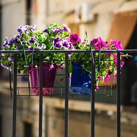 Petit 아파트 카타니아