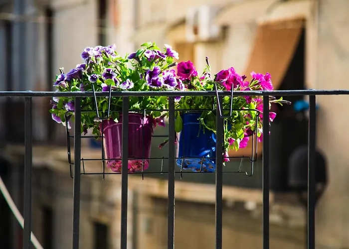 Petit Apartmán Katánie